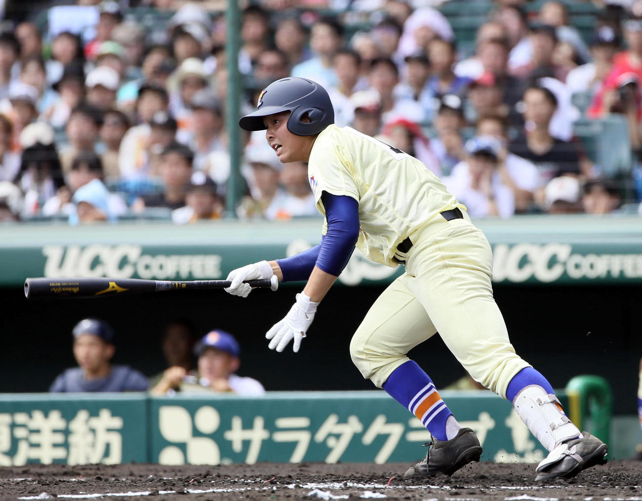 甲子園 星稜高校ベンチ入りメンバーと野球道具まとめ 19年夏 バックネット裏から見る野球