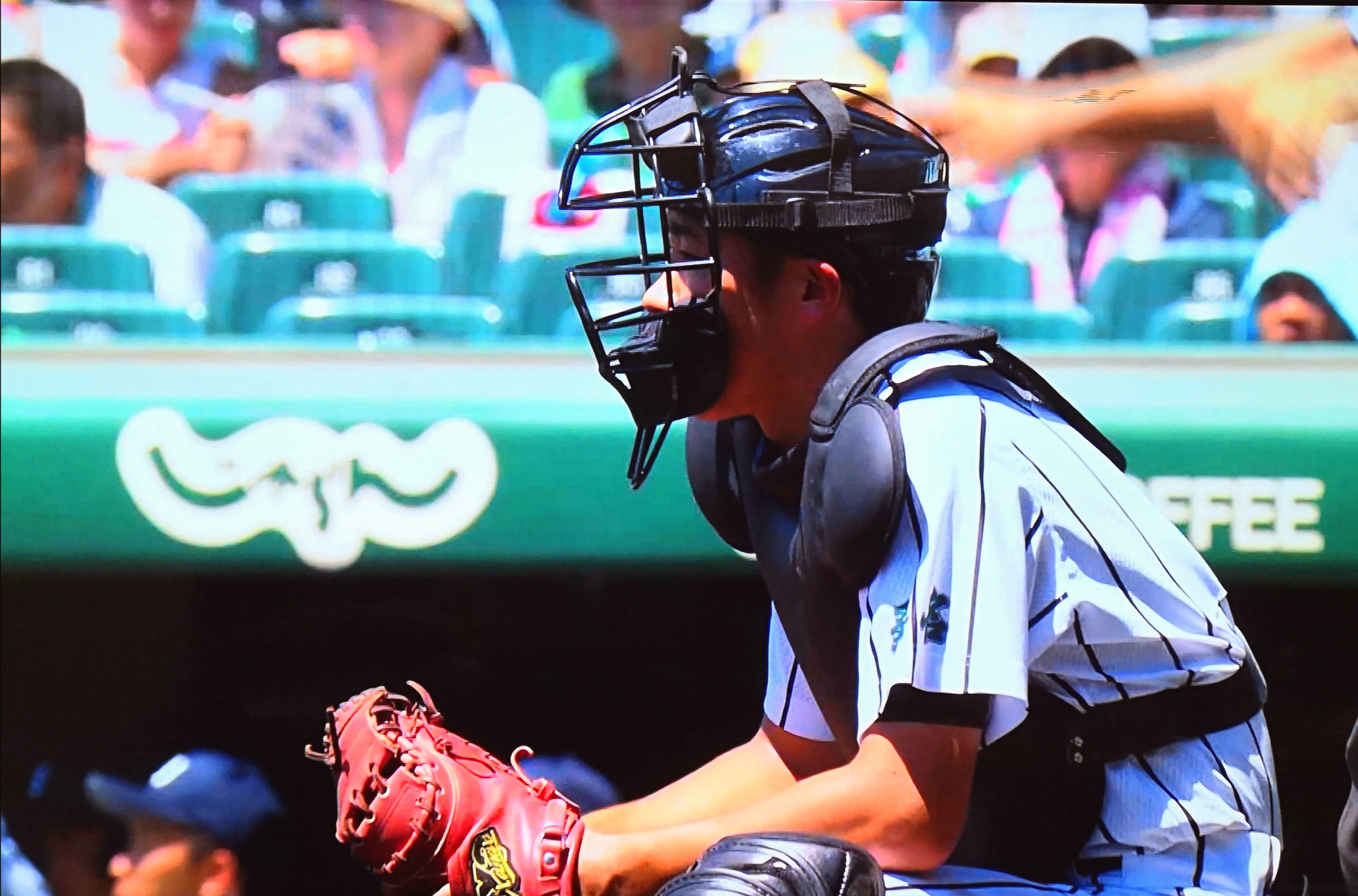 甲子園 甲子園出場選手道具まとめ キャッチャーミット篇 19年夏 バックネット裏から見る野球