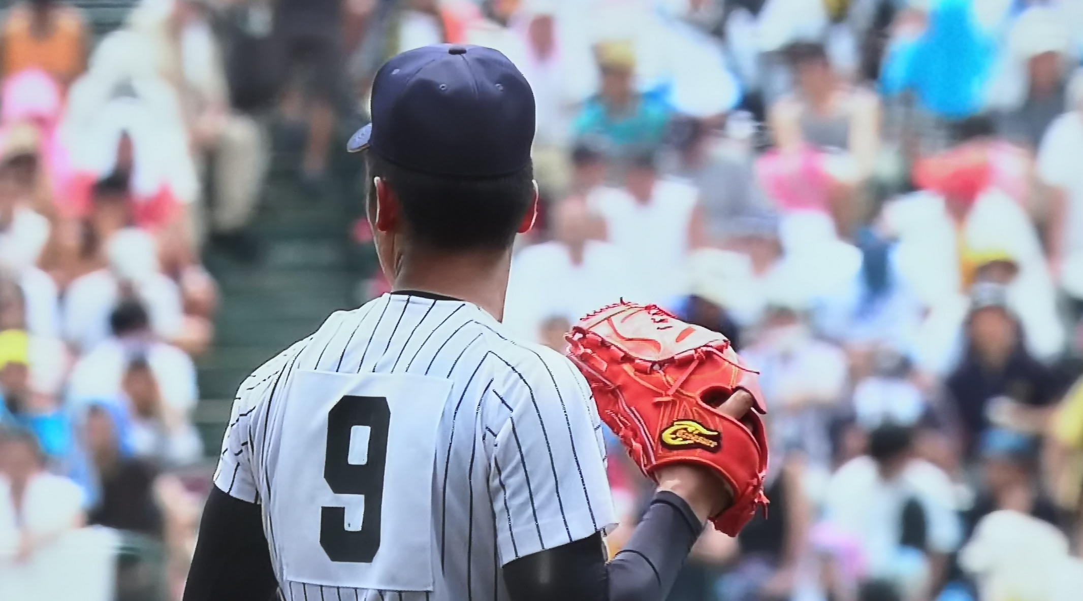 甲子園】甲子園出場選手道具まとめ-投手グラブ篇-【2019年夏