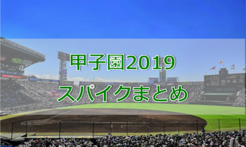 甲子園】甲子園出場選手道具まとめ-バット篇-【2019年夏】 | バック