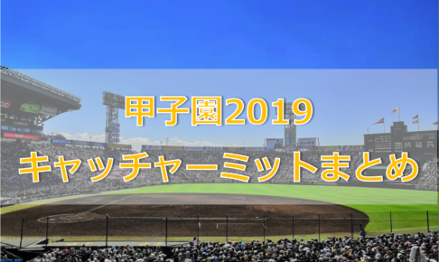 甲子園】甲子園出場選手道具まとめ-投手グラブ篇-【2019年夏