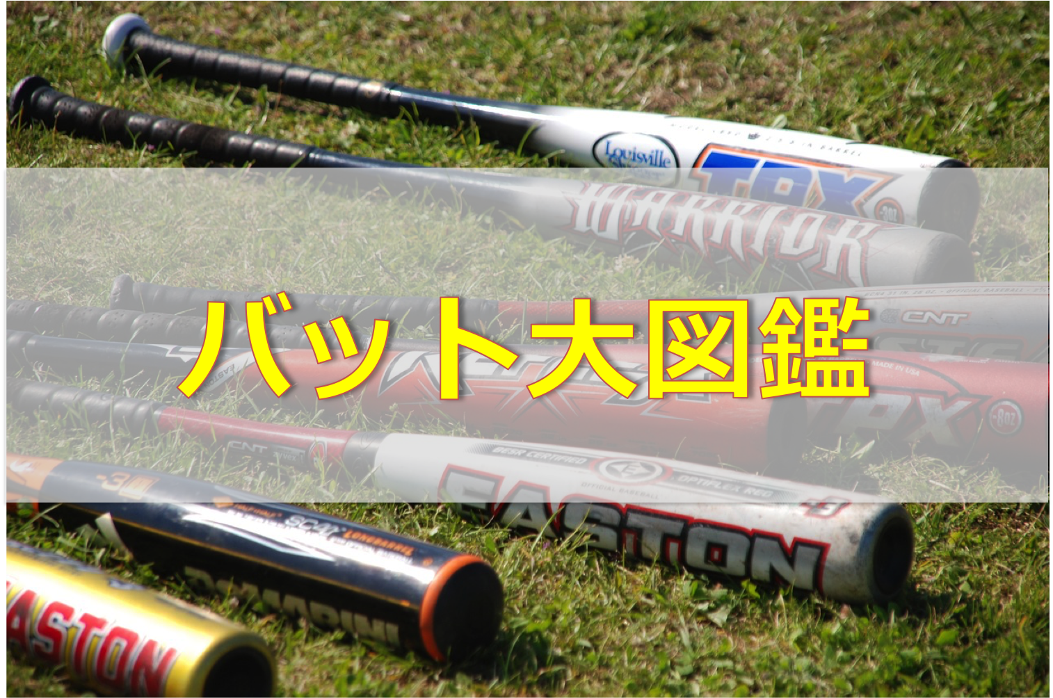 保存版 野球道具好き必見 バット大図鑑 バックネット裏から見る野球 保存版 野球道具好き必見 バット大図鑑 バックネット裏から見る野球