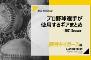 バックネット裏_タイガース