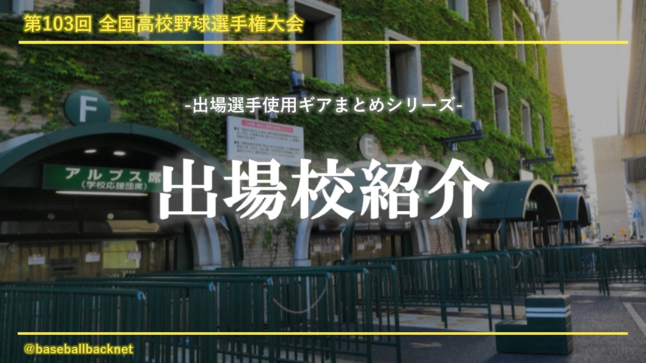 選手権 出場選手道具まとめ 出場校一覧 21年夏 バックネット裏から見る野球